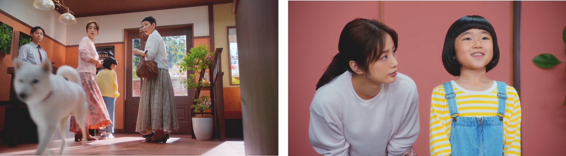 上戸彩さん困惑！　ソフトバンク「ペイトク」新CM「白戸家 お父さんがっぽり貯まる」篇が8月29日から放映開始へ