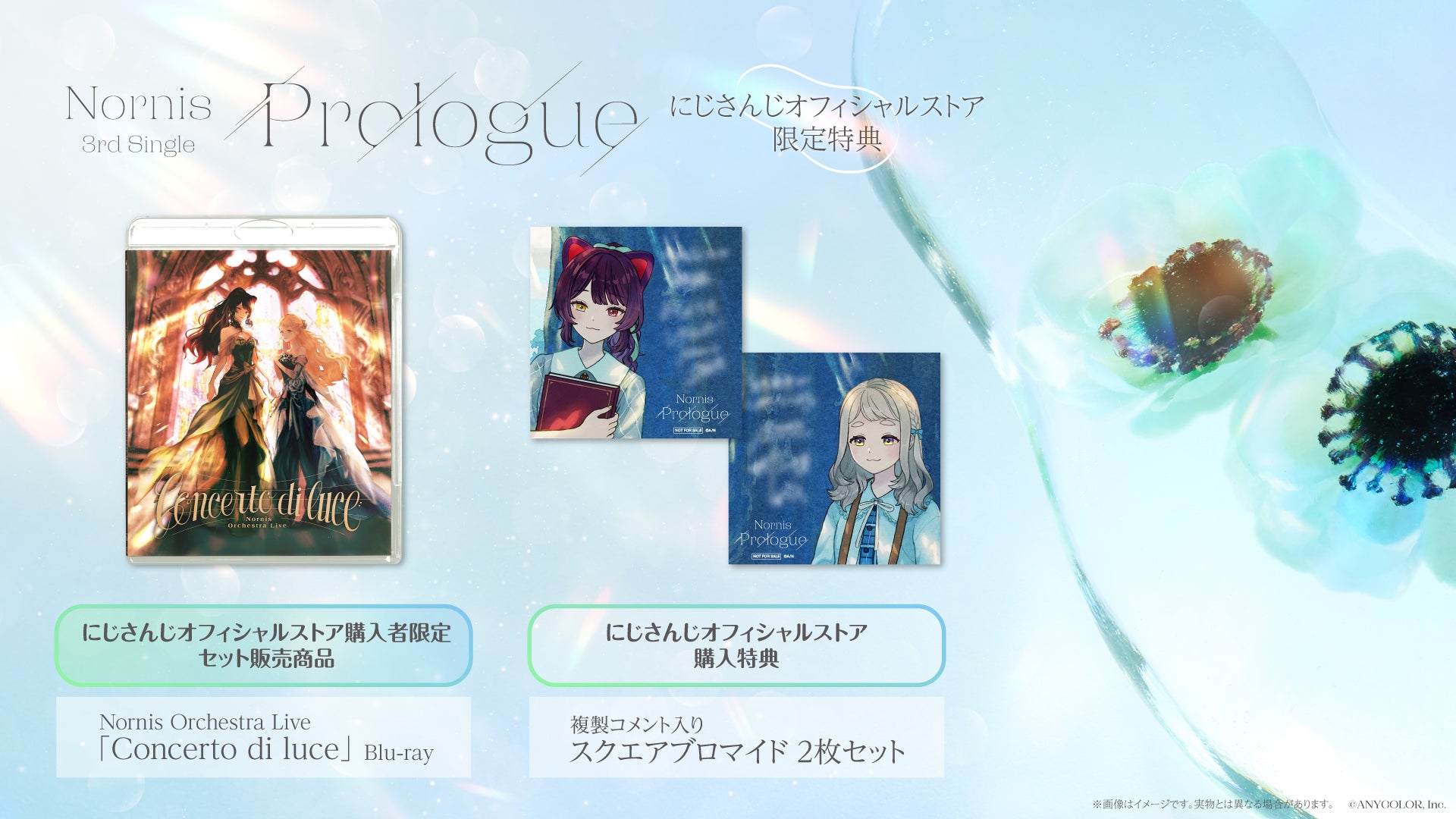 記事画像2: Nornis 3rd Single「Concerto di luce」Blu-rayと限定特典の告知