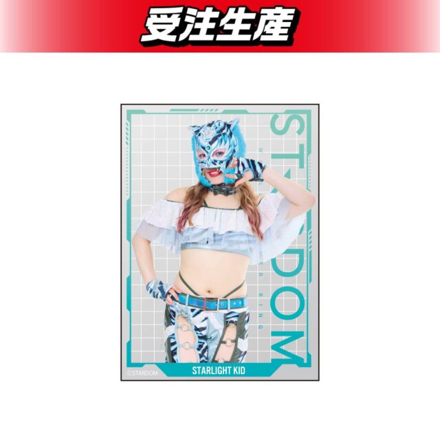 記事画像6: スターダムのレスラー「STARLIGHT KID」のポートレート。青いタイガーマスクとコスチューム。
