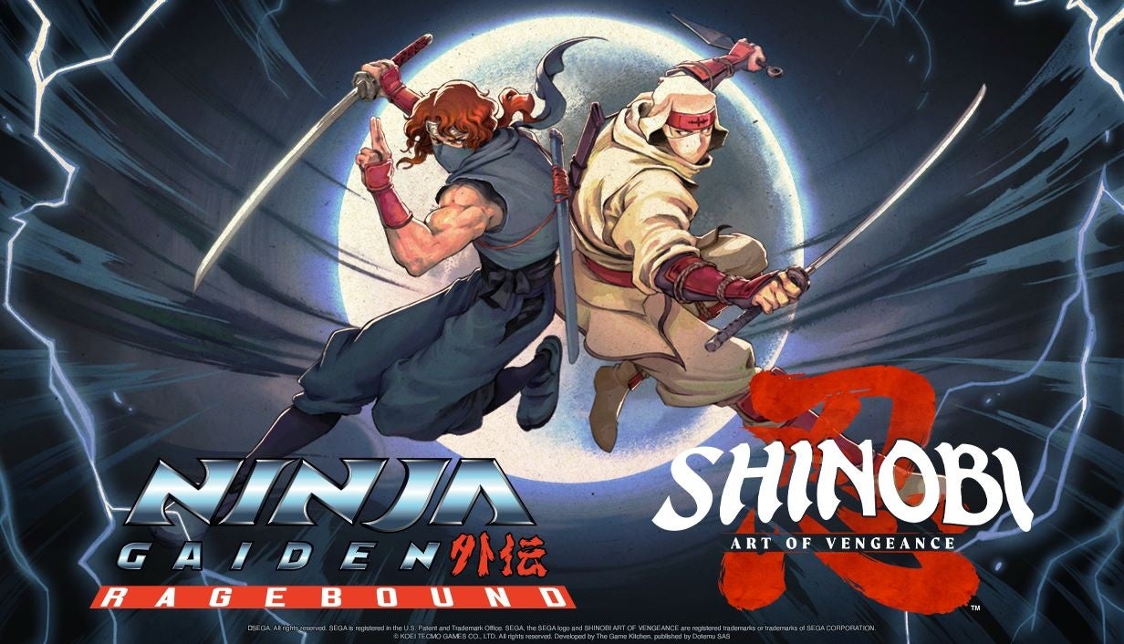 記事画像5: ニンジャガイデンと忍道アートオブベンジェンスのゲームキャラクター.