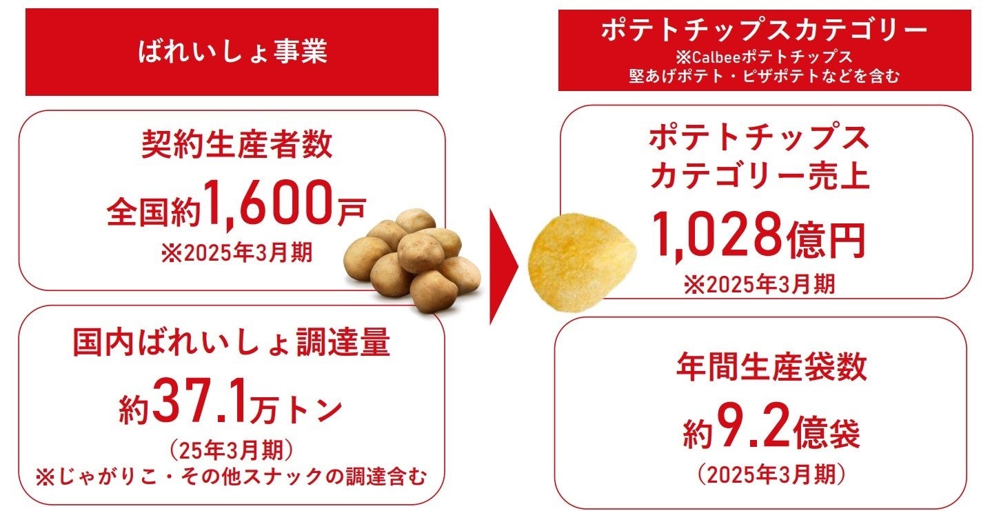 記事画像2: ポテトチップス事業の契約生産者数、調達量、売上、生産袋数を示すグラフ