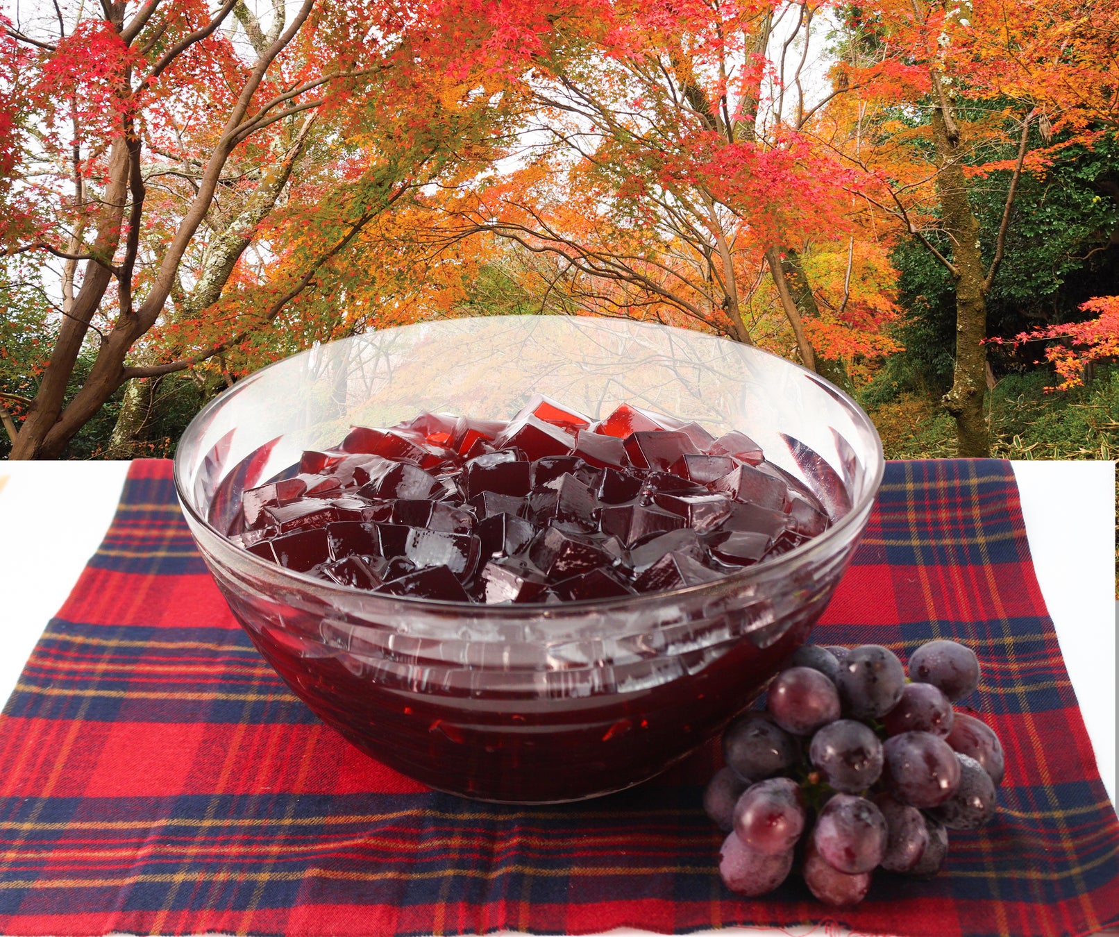 秋の紅葉を背景に、ぶどうゼリーとぶどうが盛られたボウル。