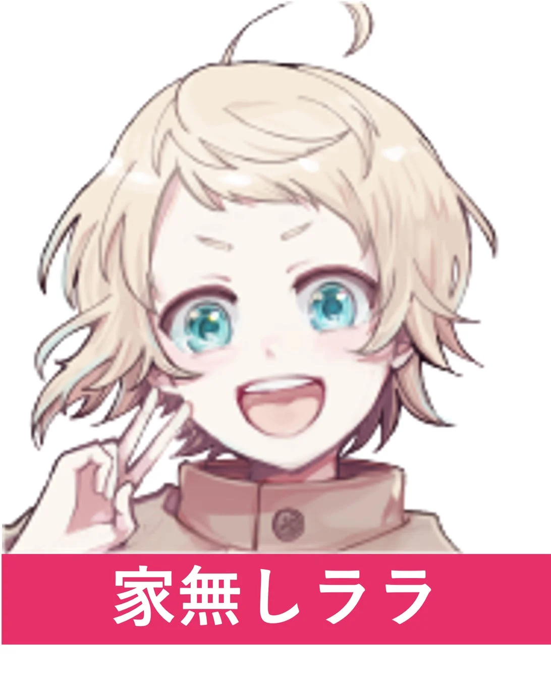 参戦VTuber「NH ララ」のアイコン