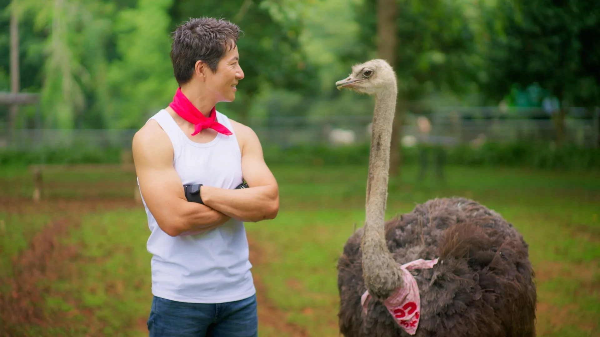 ダチョウと向き合い、笑顔で腕組みをするケイン・コスギ