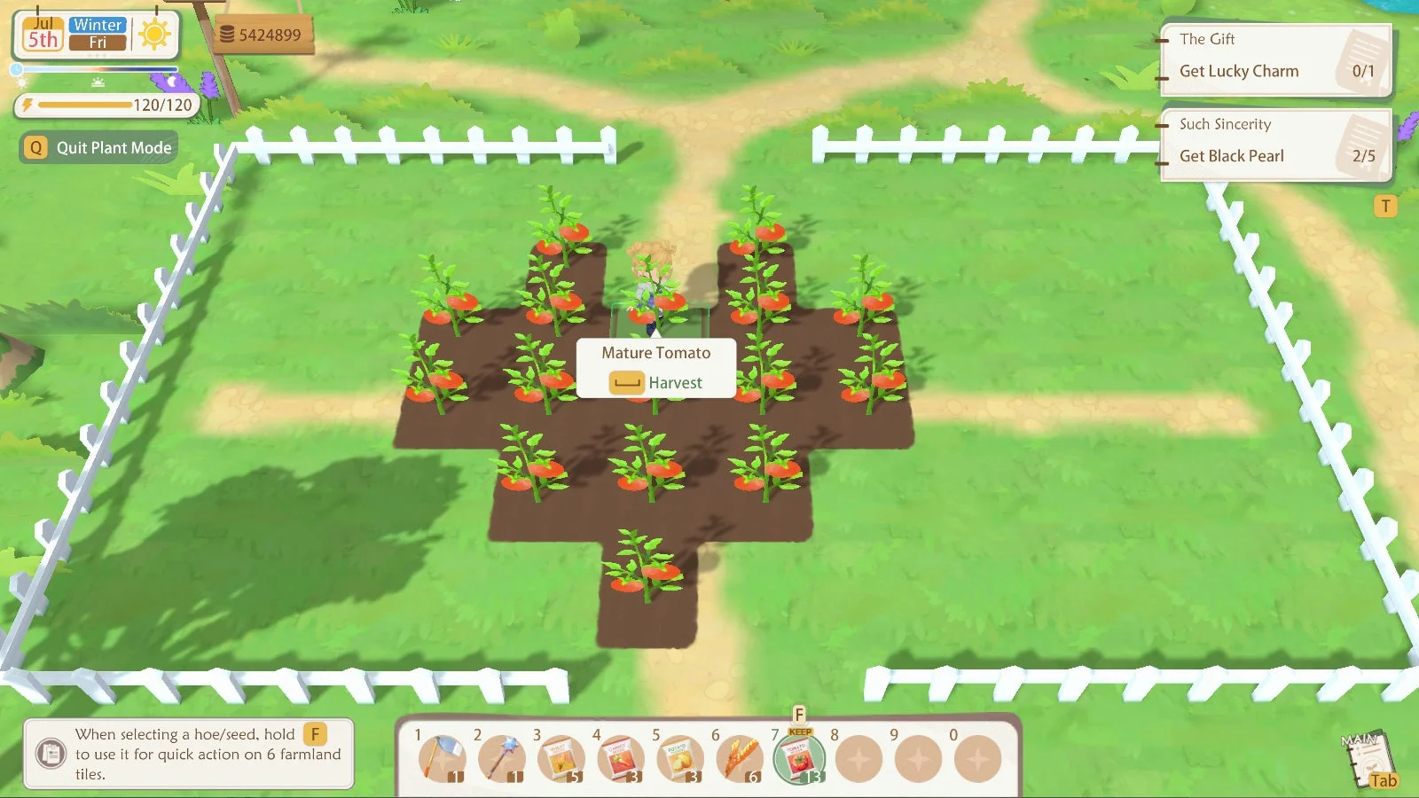 畑でトマトを収穫するゲームプレイ画面