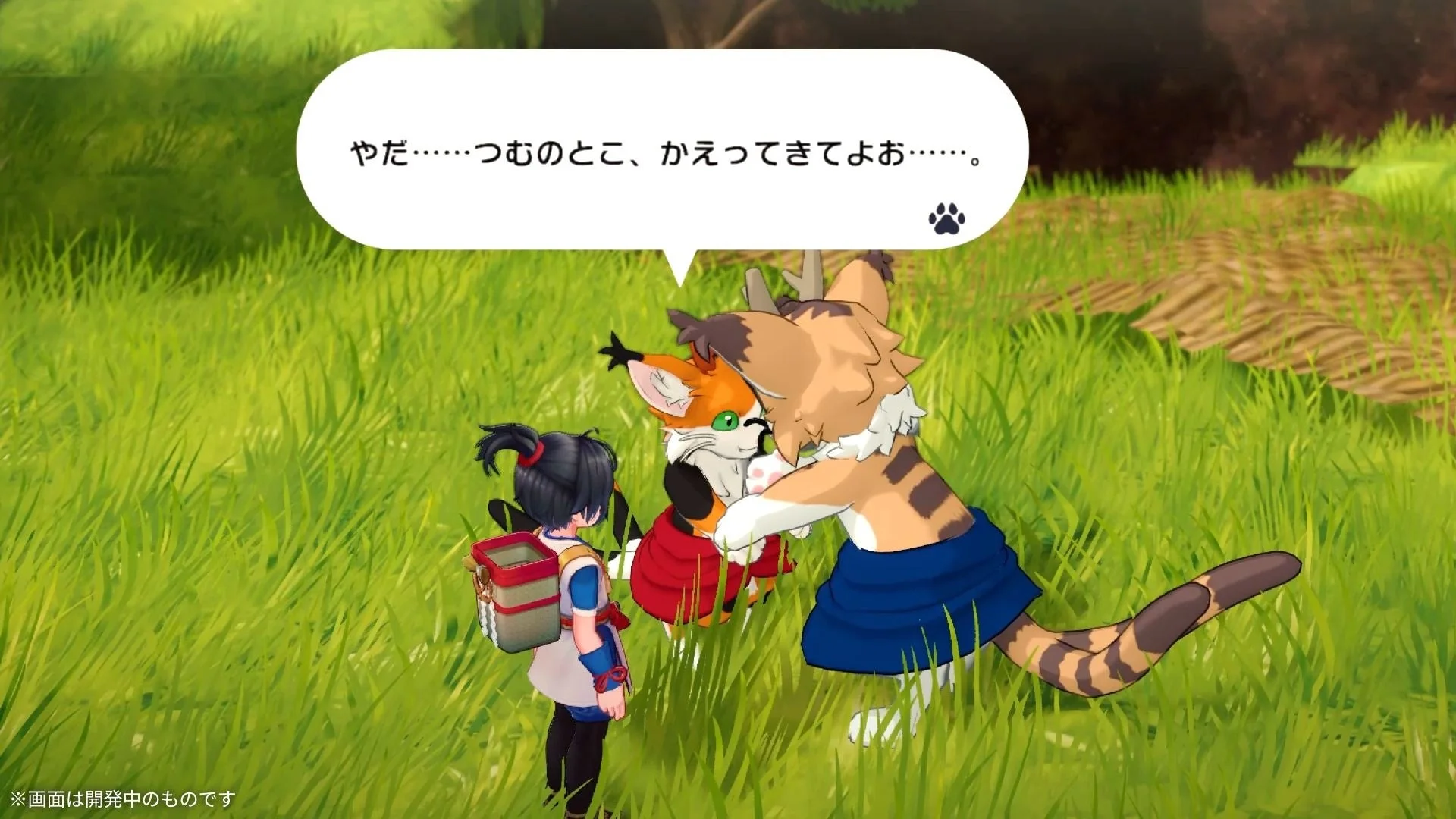 少年が困っているモノノケを慰める村エリアのシーン
