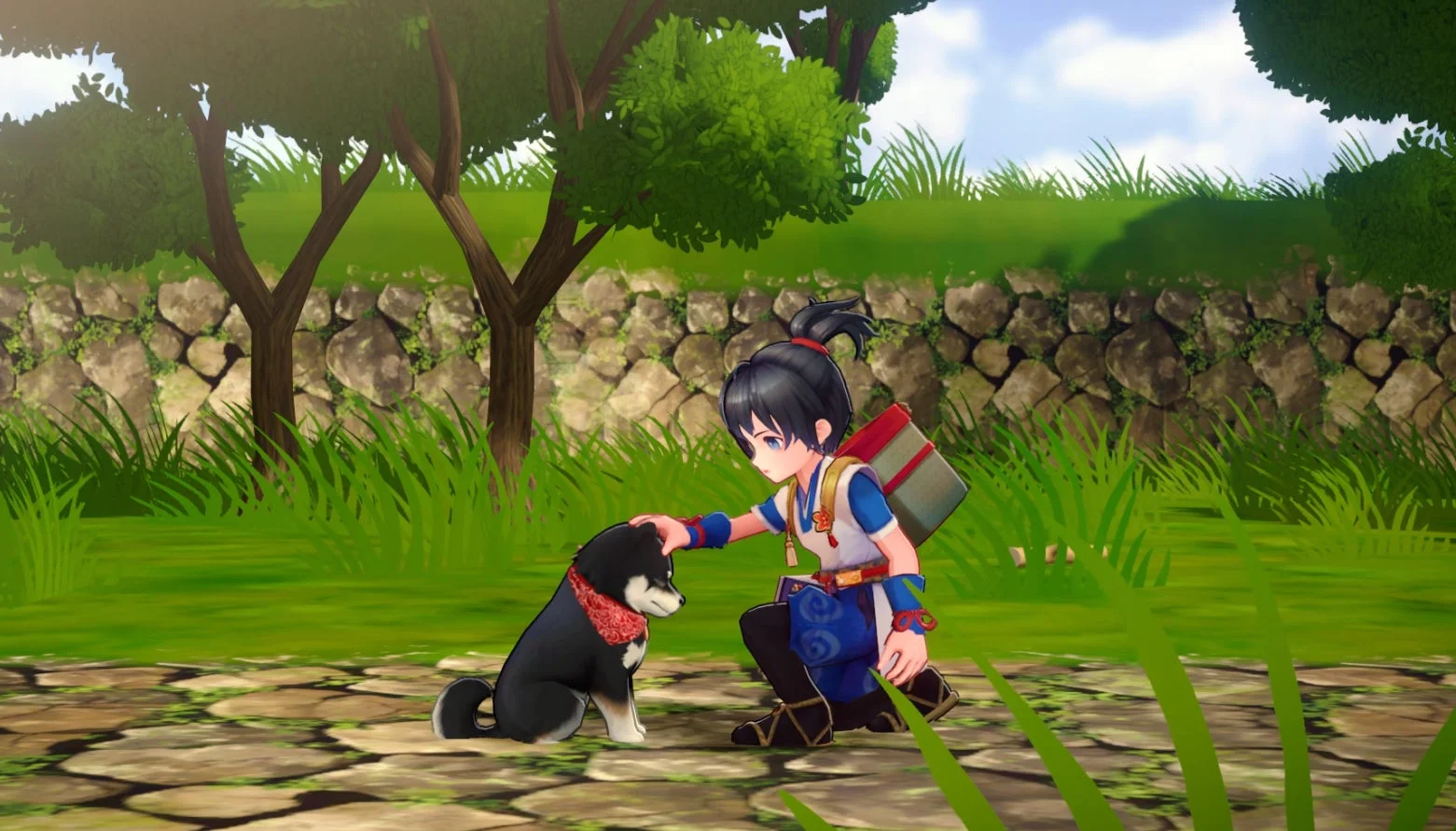 少年が黒柴犬ムサシを撫でる微笑ましいシーン