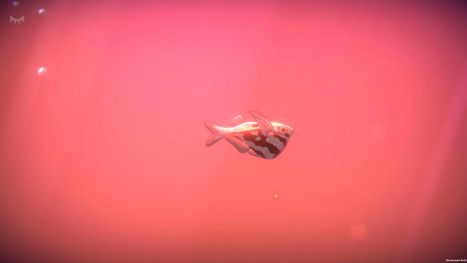 美しい縞模様を持つ魚のクローズアップ