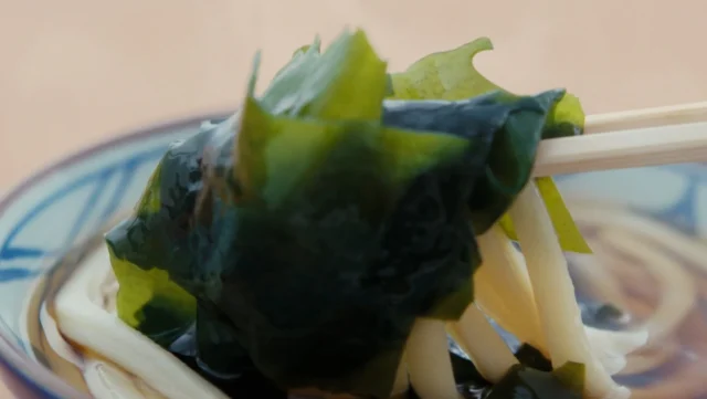箸で持ち上げられたワカメと釜揚げうどん