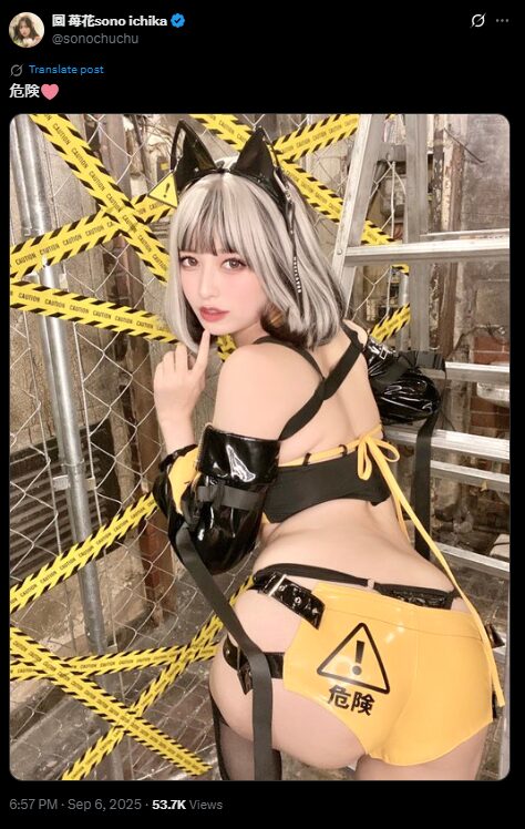 危険すぎる美しさ！　園苺花、イエロー×ブラックの猫耳衣装でセクシーポーズを披露