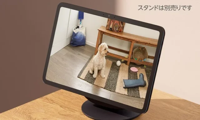 Echo Show 8/11のディスプレイに映る犬の様子