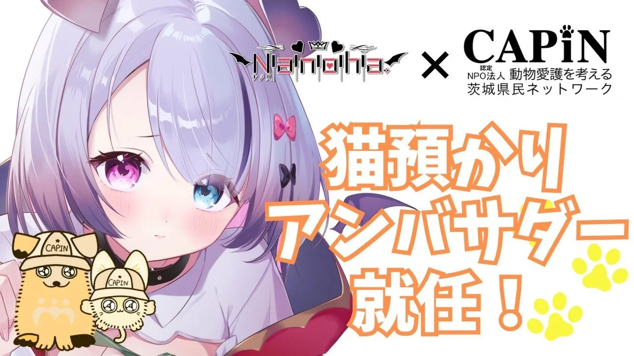 VTuber「Nanoha。」がCAPINの猫預かり愛護アンバサダーに就任！　保護猫の成長を動画で発信