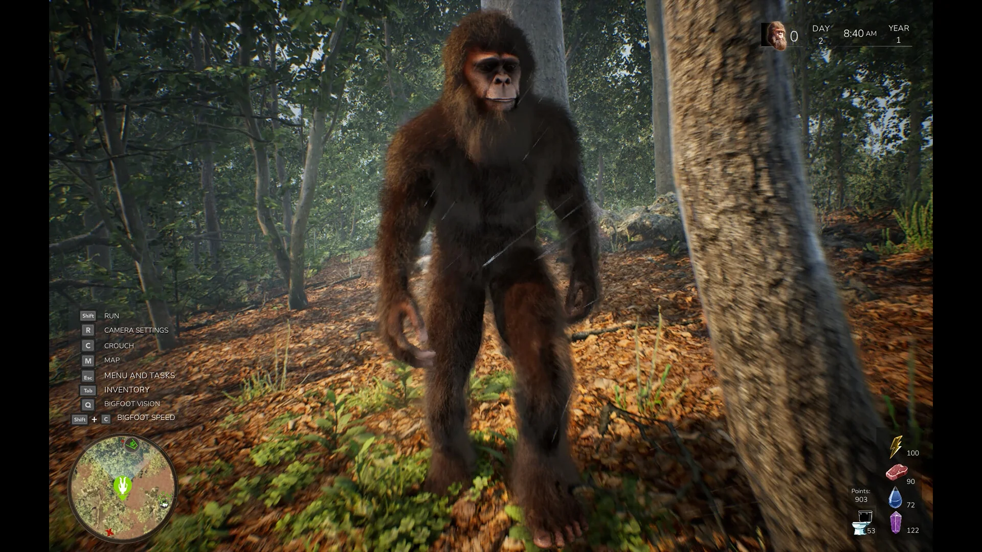 人間を威嚇し縄張りを守るビッグフット体験ゲーム『Bigfoot Life Demo』がデモ配信開始。森の王者として生きるサバイバルライフ