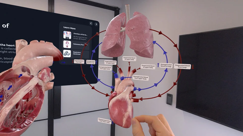 Apple Vision ProでVisageアプリにより3D医用画像を閲覧する様子