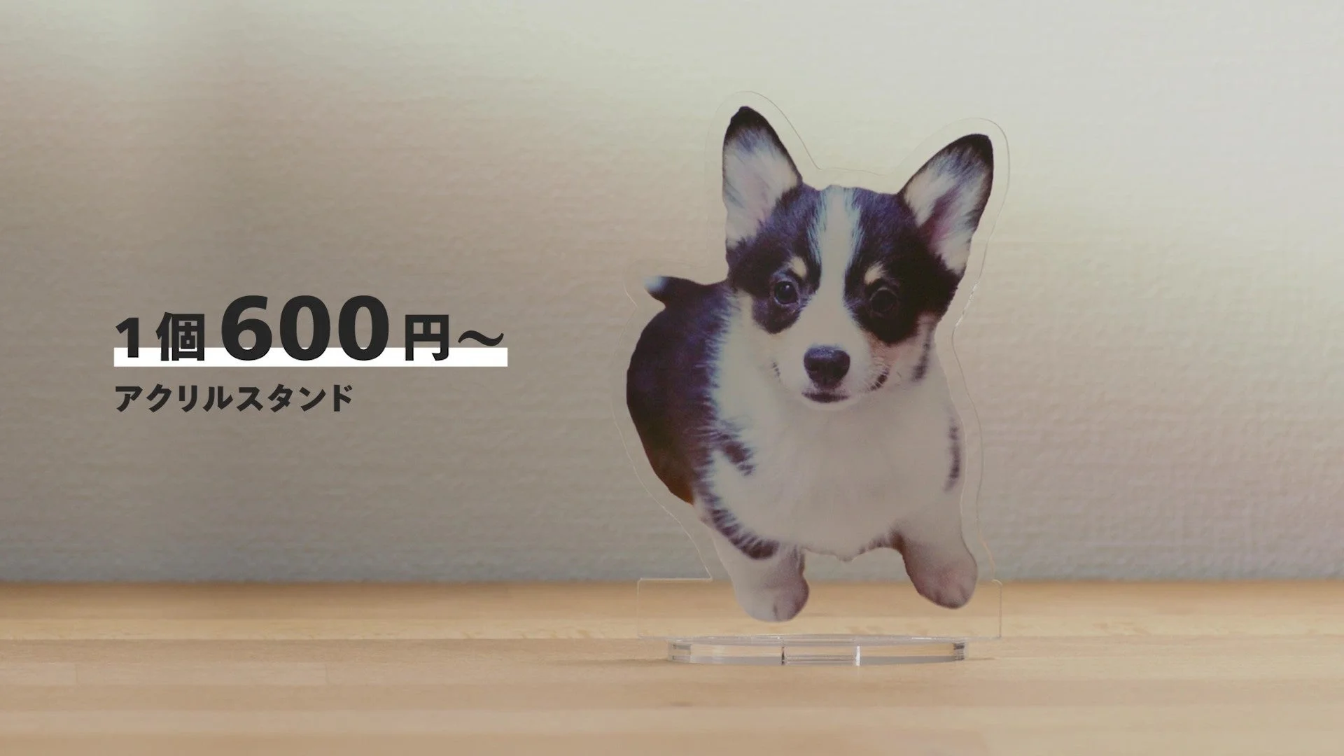しまうまプリント「アクリルスタンド」1個600円〜、犬の写真