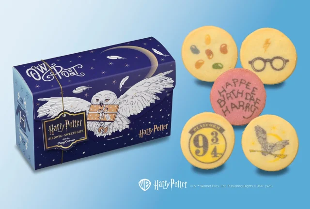 ヘドウィグスイーツギフトボックスと中に入ったハリー・ポッターデザインのクッキー
