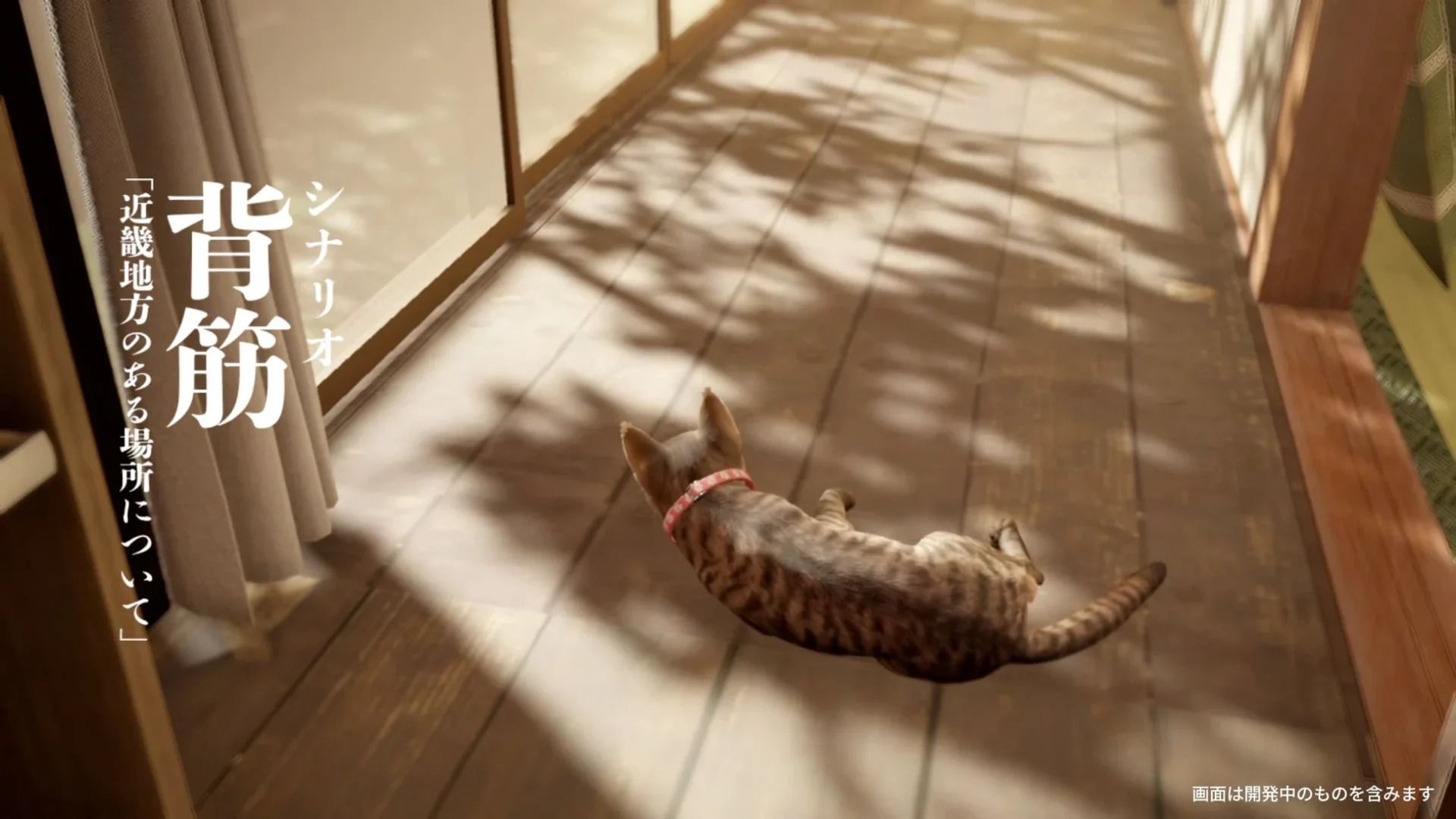 『まだ猫は逃げますか?』ゲーム画面:縁側を歩く猫とシナリオ担当背筋氏の名前