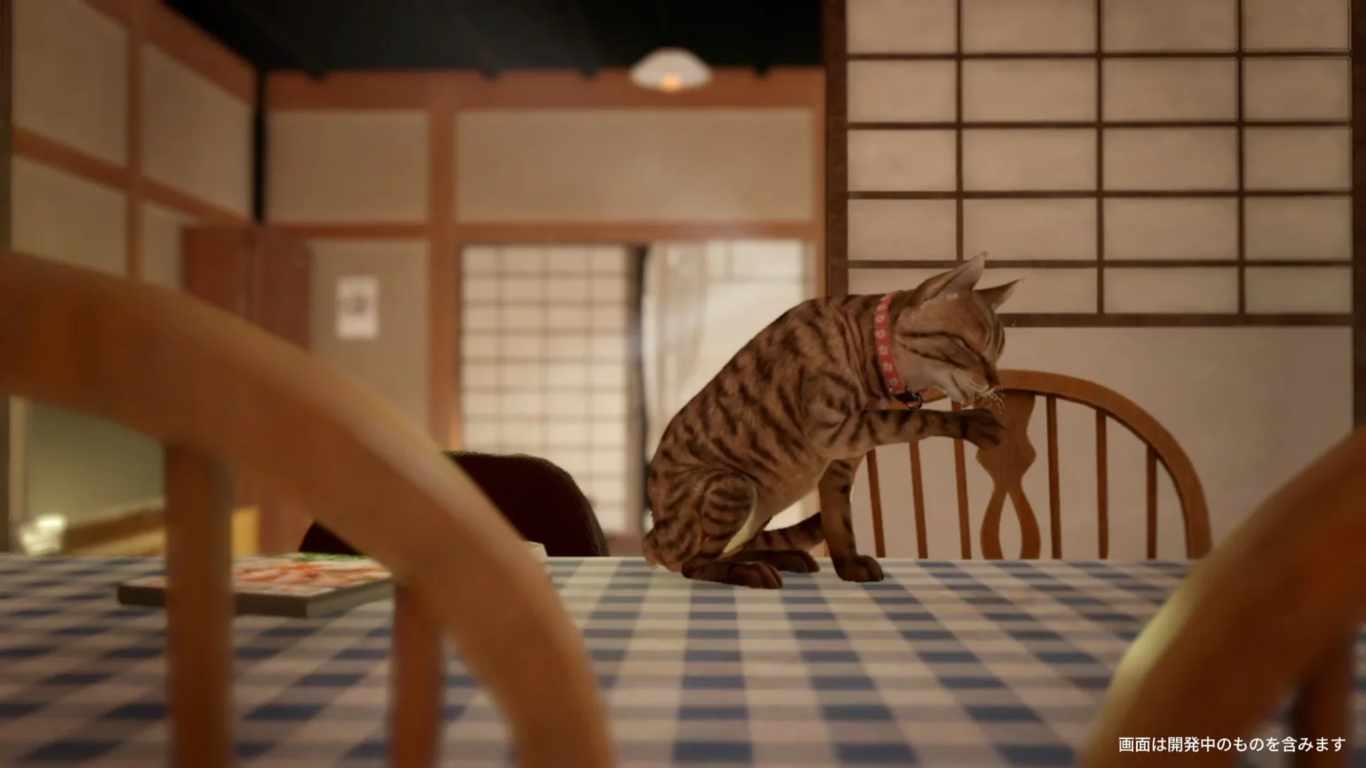 『まだ猫は逃げますか?』ゲーム画面:テーブルで毛づくろいする猫