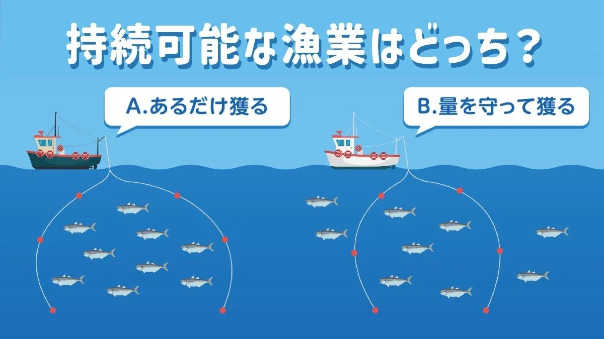 持続可能な漁業の概念を説明するイラスト。あるだけ獲る漁と量を守って獲る漁の比較