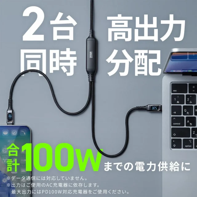 2台同時充電と合計100W電力供給を説明するケーブルの図