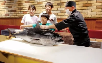 職人が子供たちと国産生本まぐろを解体する様子