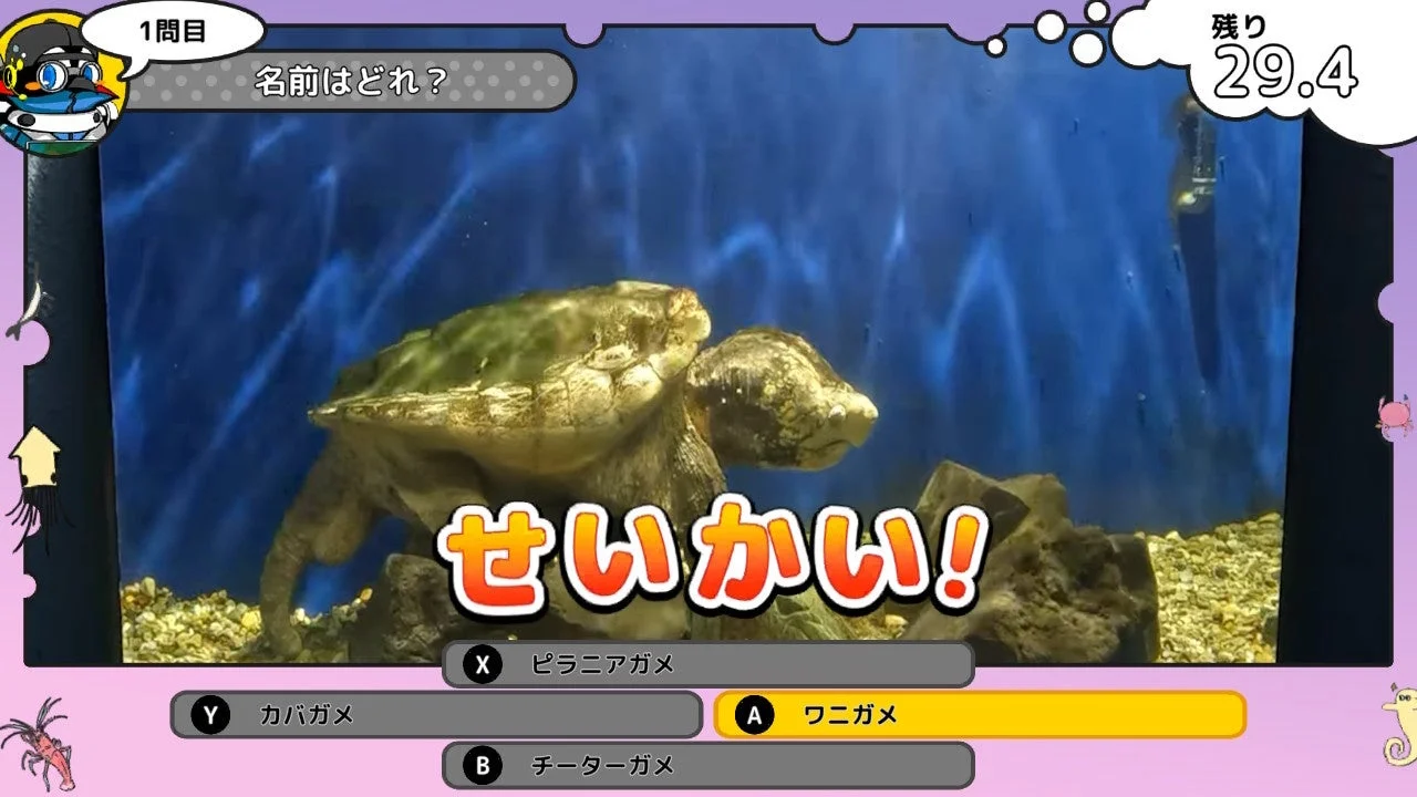 ゲーム『いつでも伊勢シーパラダイス』のクイズモード画面。ワニガメの画像とともに「名前はどれ？」という問題と選択肢が表示されている。