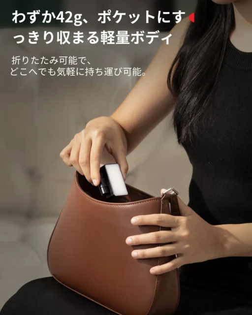 SmallRig RGBWW LEDビデオライトをバッグに収納する様子