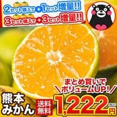 ご当地風土 熊本みかん