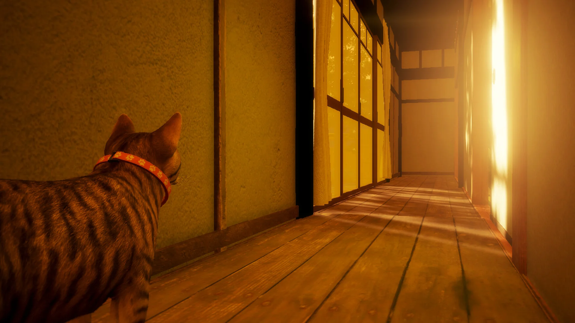 探索ステルス猫ゲーム『まだ猫は逃げますか？』がSteamでリリース。日本の古民家で謎の真相に迫る、背筋氏シナリオの怪奇ホラー