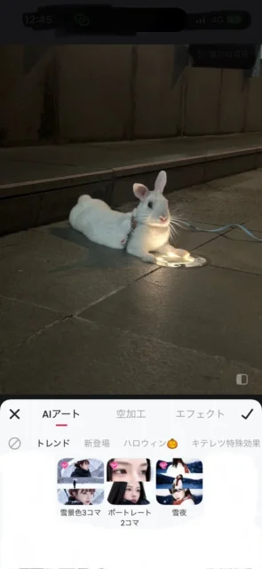 雪加工の3種類のパターン「雪景色3コマ」「ポートレート2コマ」「雪夜」が選択できる画面