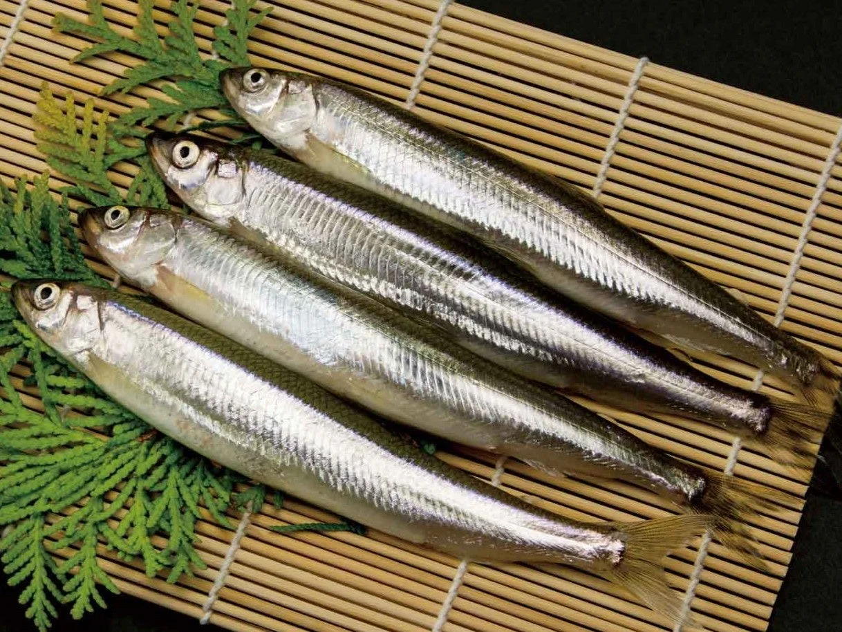 天ぷらに最適な白身魚、北海道産のチカ