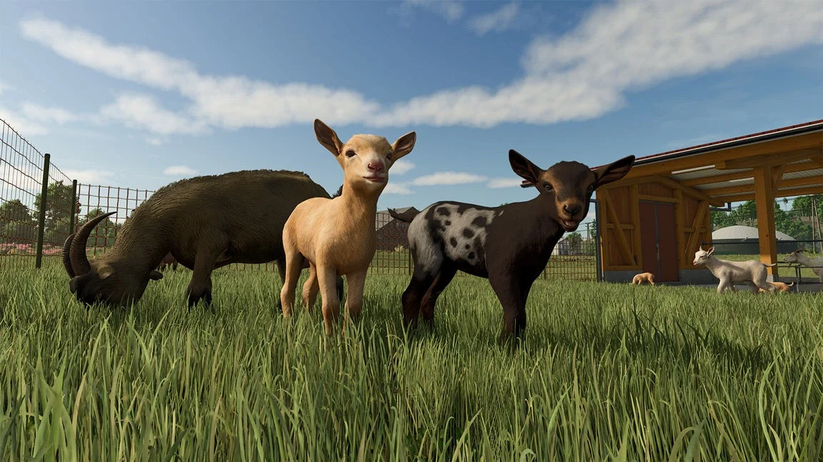 『Farming Simulator 25』で新たに飼育できる動物種のヤギ