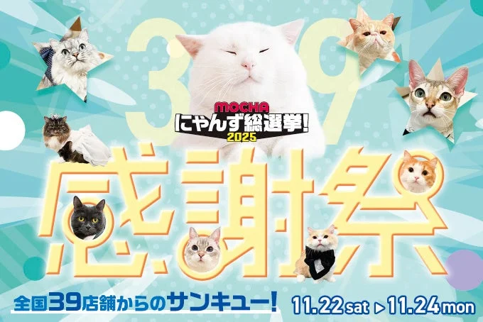 総選挙上位の猫たちが特別衣装でお出迎え！　「猫カフェMOCHA」感謝祭が11月22日より開催