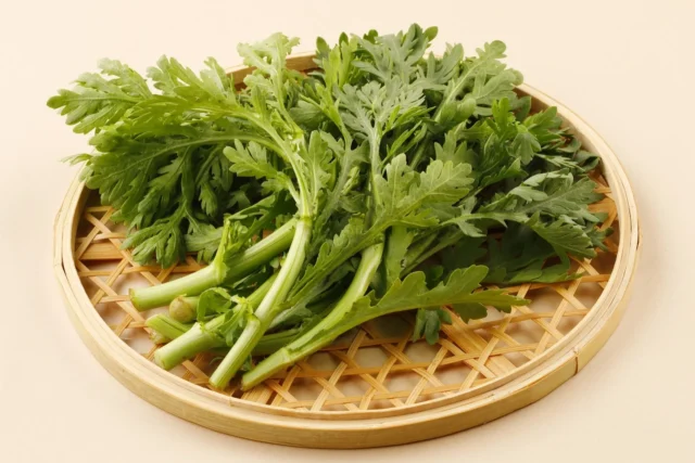 鴨すきにおすすめの季節野菜「春菊」