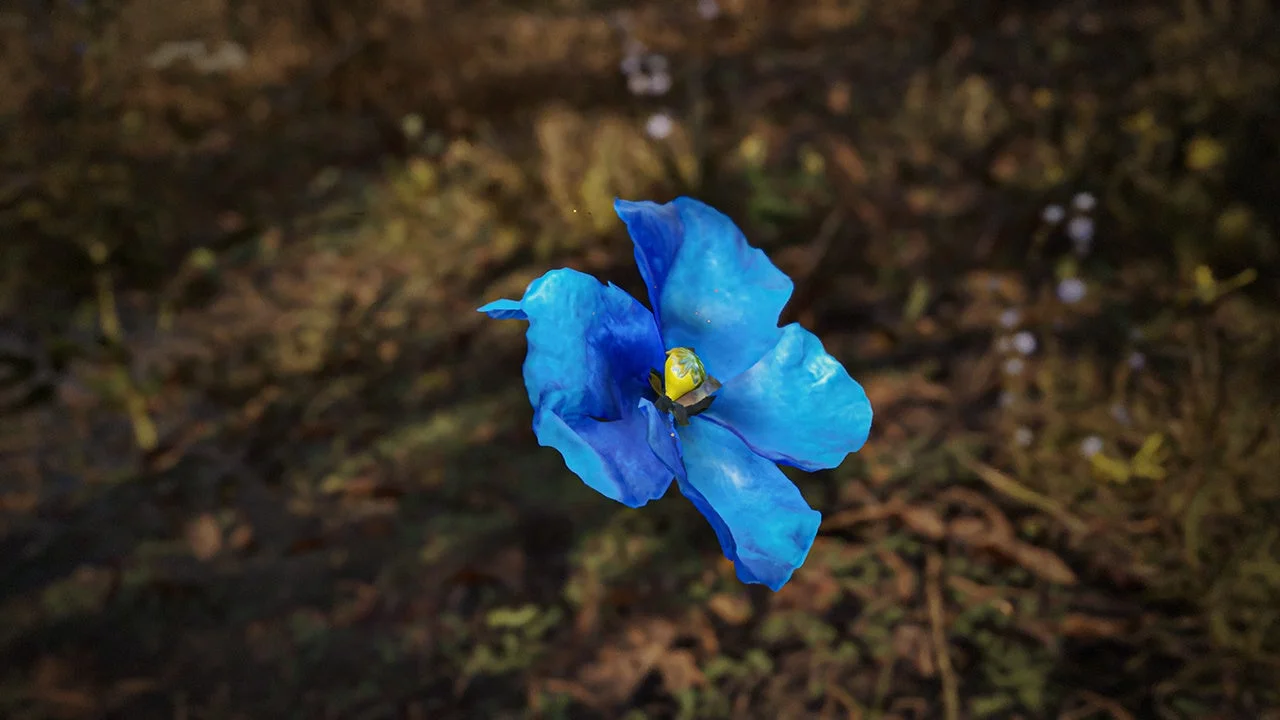 地面に浮かぶ青い花のような形のアーティファクト