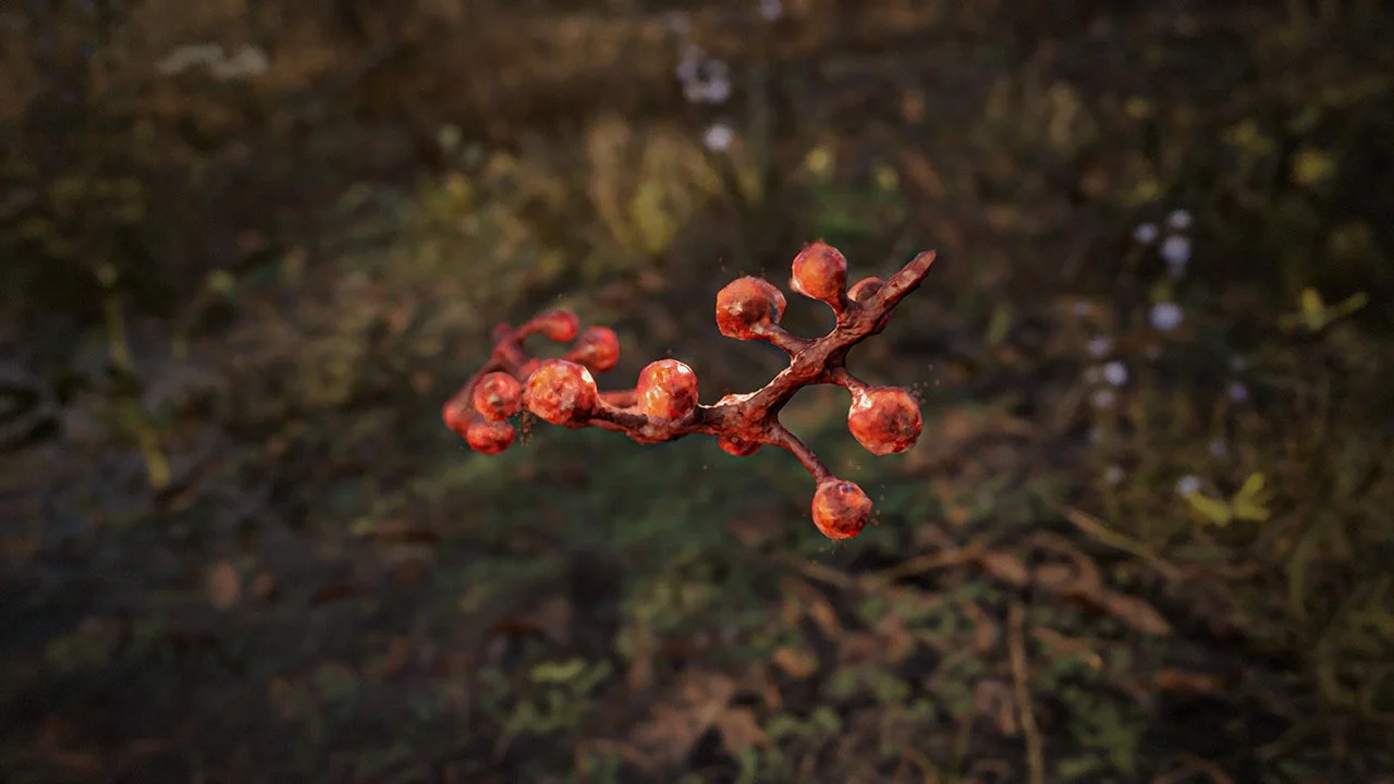 地面に浮かぶ赤い実のような枝状のアーティファクト