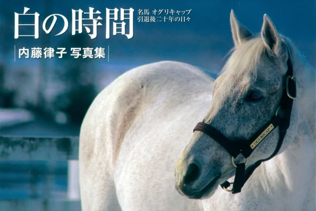 『白の時間 復刻版』の表紙。