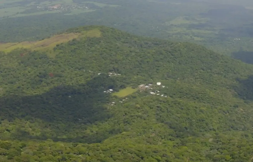 エルサルバドルにあるMACHI cafe＋のコーヒー豆生産農園の様子