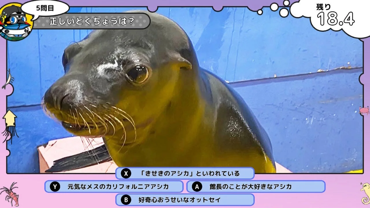 ゲーム内の生き物クイズ「アシカ」の問題画面