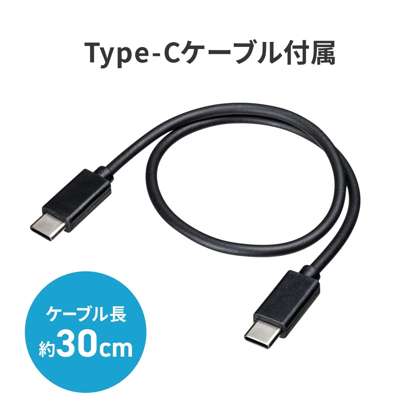 付属の約30cm USB Type-Cケーブル