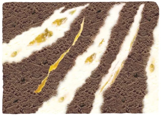 ゴディバ監修 マリアージュ デュ ショコラ アイスクリームケーキの断面