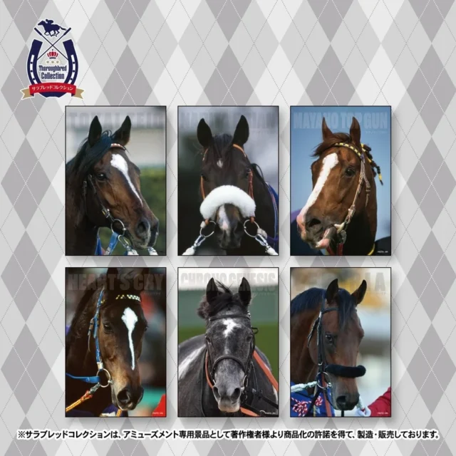 マストバイキャンペーンオリジナルポストカード全6種