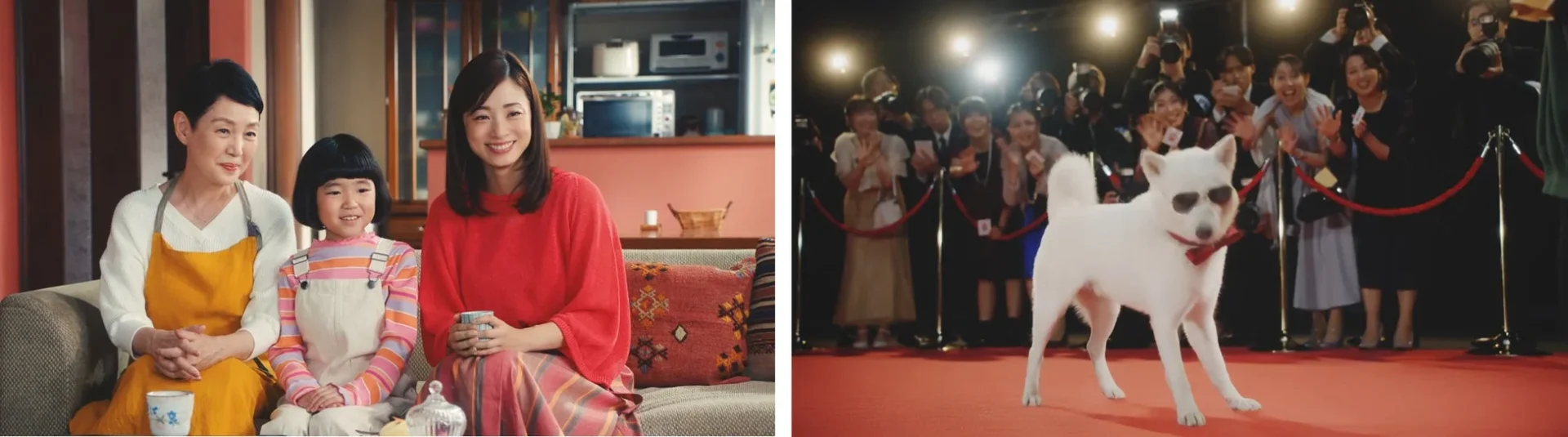 ソフトバンク新CM「白戸家 お父さんスターになる」篇。上戸彩さん、永尾柚乃さん、樋口可南子さんがソファで笑顔、お父さん犬がレッドカーペットを歩く