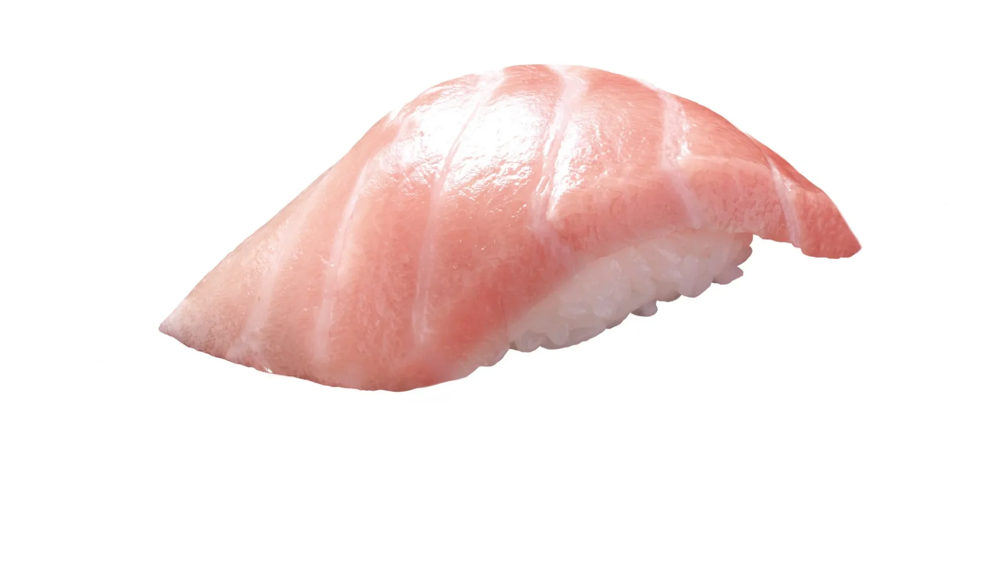 地中海産 本鮪大とろの握り