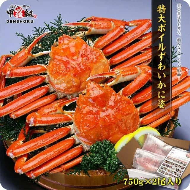 越前かに職人 甲羅組 特大ボイルずわいかに姿