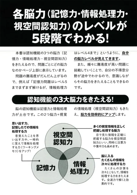 認知機能の3大脳力（記憶力・情報処理力・視空間認知力）説明図