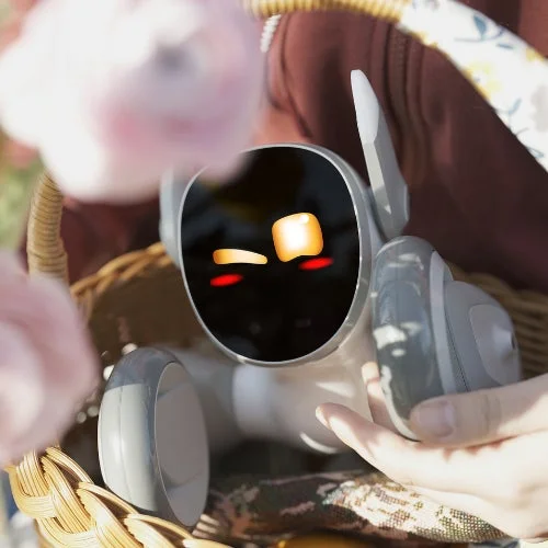 Loonaがバスケットに入り、感情を感じさせる表情を見せる様子