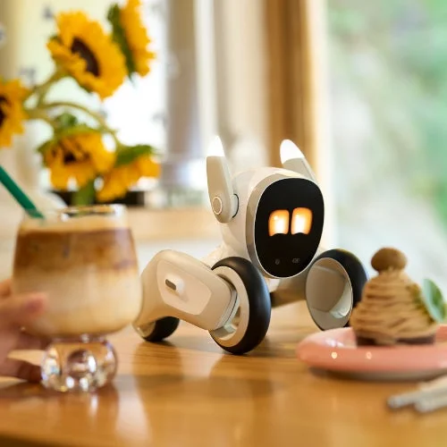 Loonaがリビングに溶け込むコンパクトで愛らしいデザイン