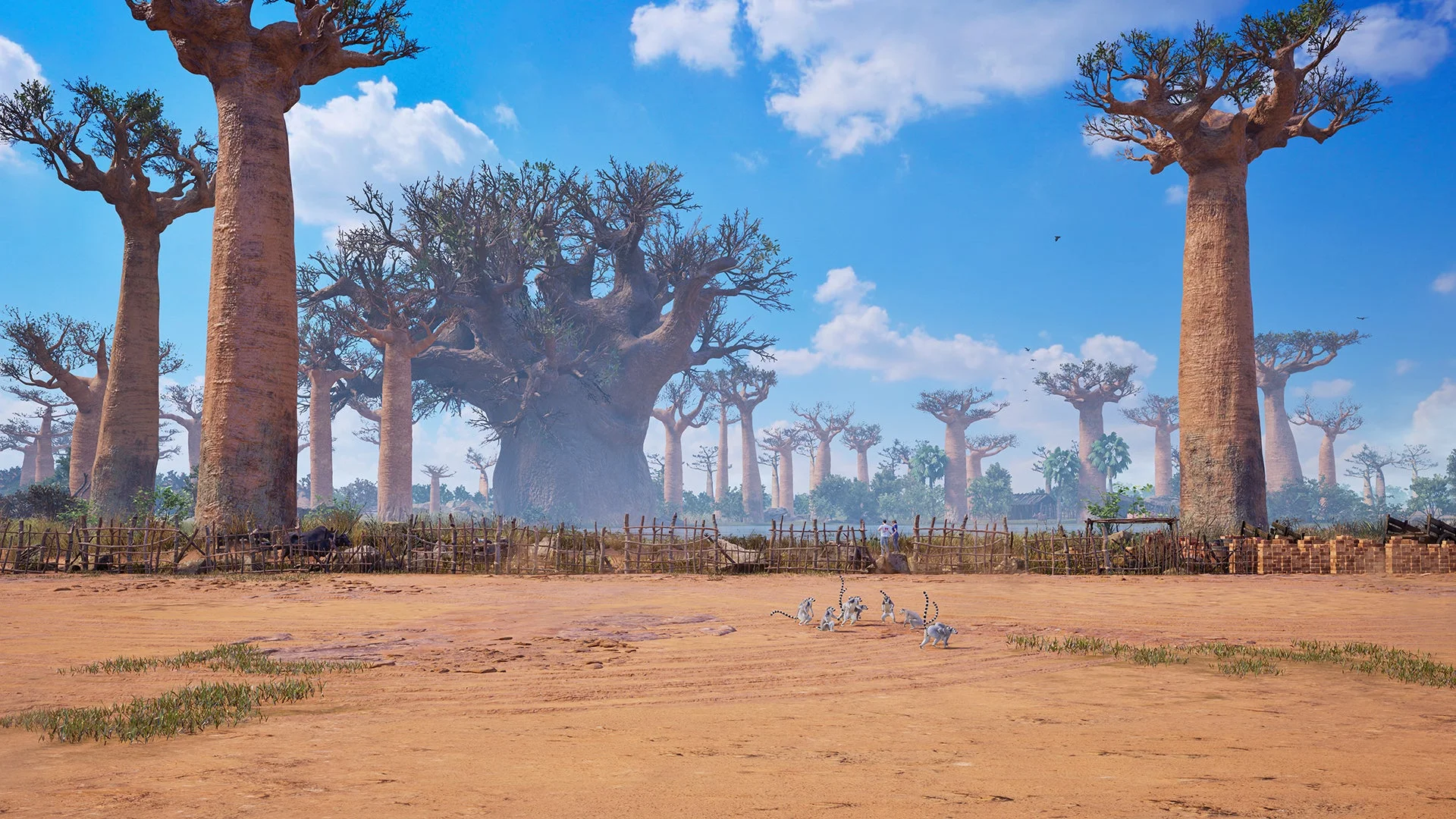 新ステージ「BAOBAB HORIZON」の昼間の風景とバオバブの木々