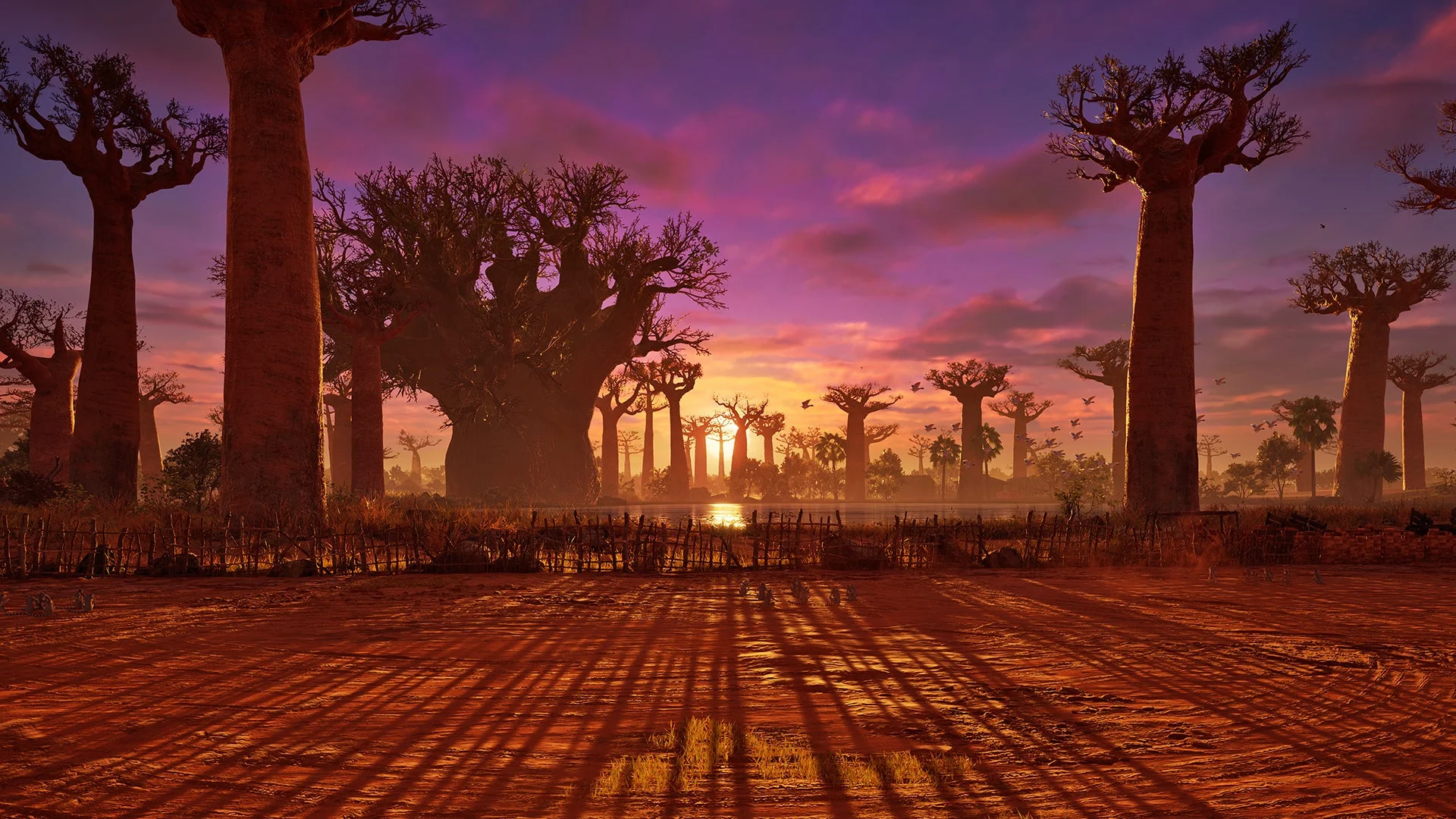 新ステージ「BAOBAB HORIZON」の夕焼けに染まる美しい風景